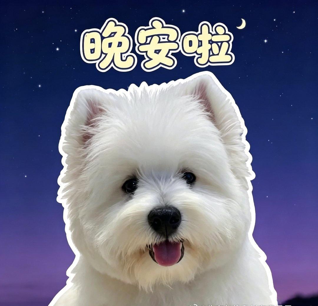 ☁️李云霄颜如钰 ☁️李云霄的小狗跟自己姓 
晚安安啦小泽泽~，今天也是羡慕你小
