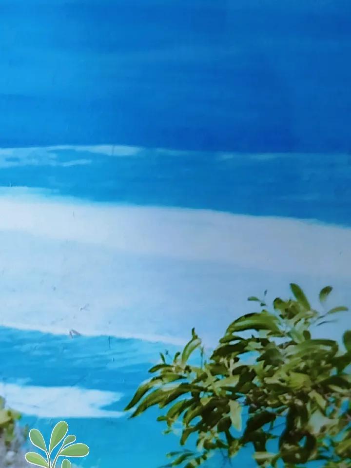 孩子在那里举行婚礼，孩子给我和老公也安排拍了一套婚纱照。又安排两家人七日游。
去