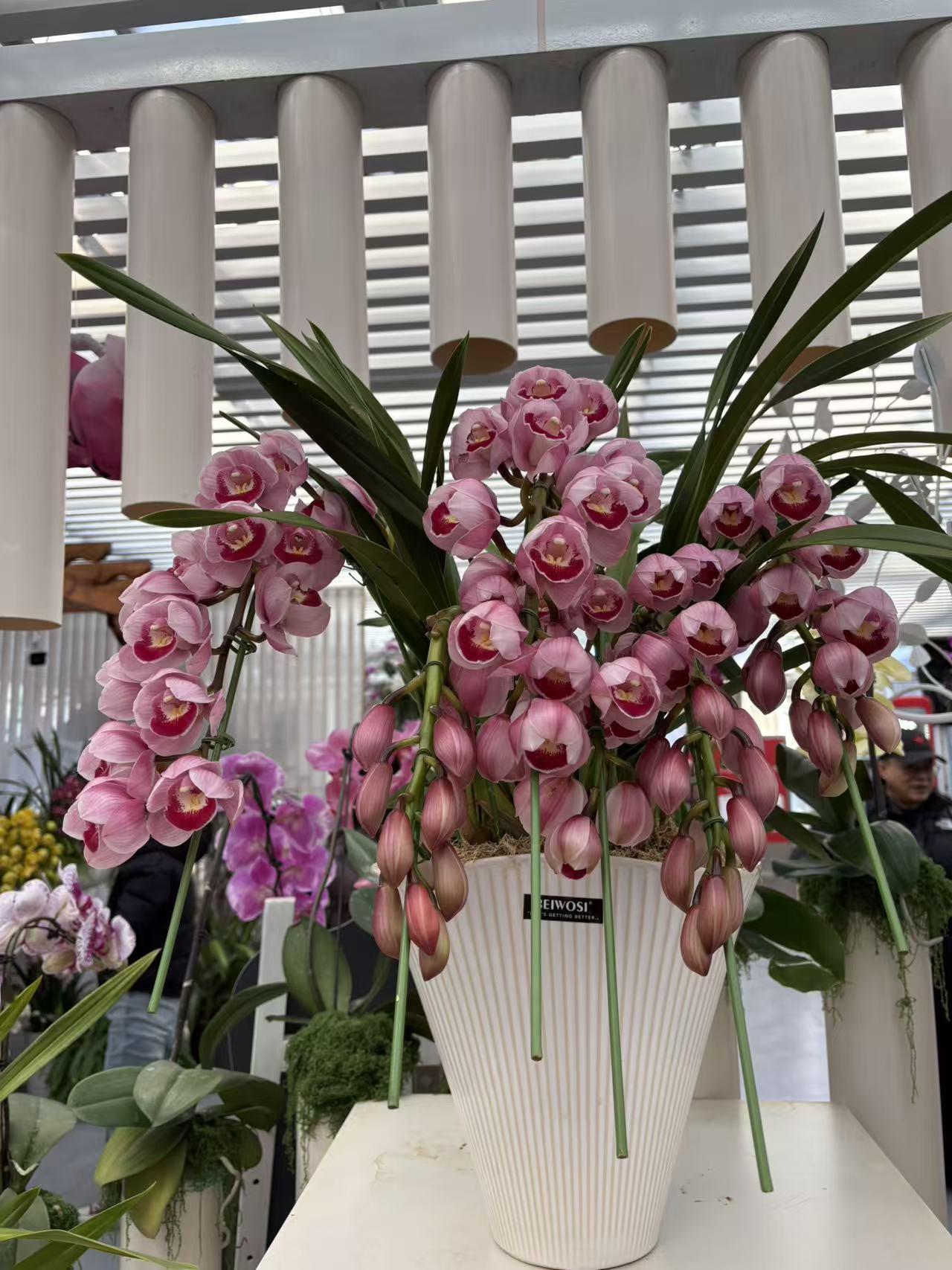 晒图笔记大赛大观园花卉展