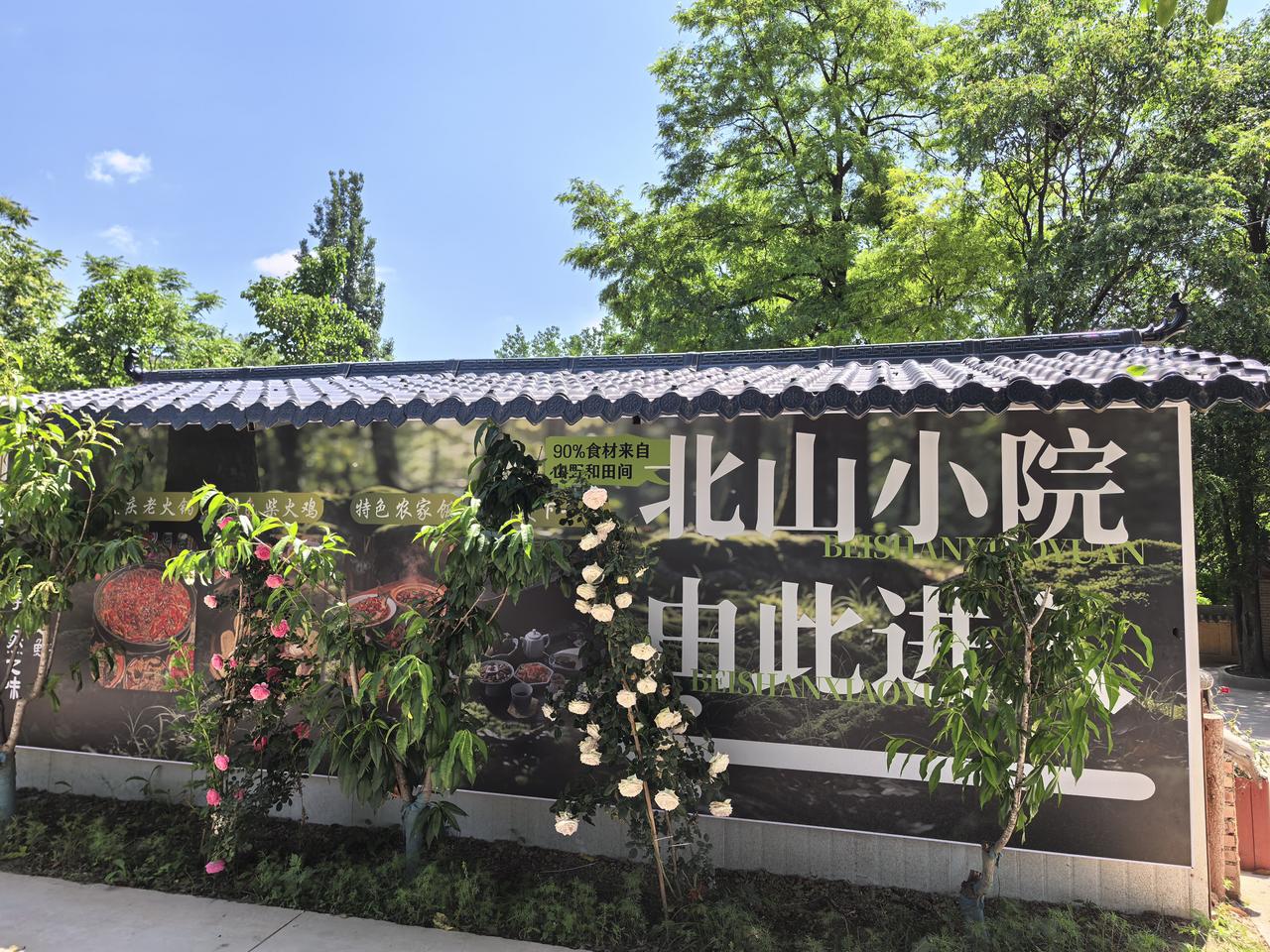 在甘肃天水游玩，冷不丁就会发现有非常好玩的地方。清水县“花舞北山”就是一个值得打