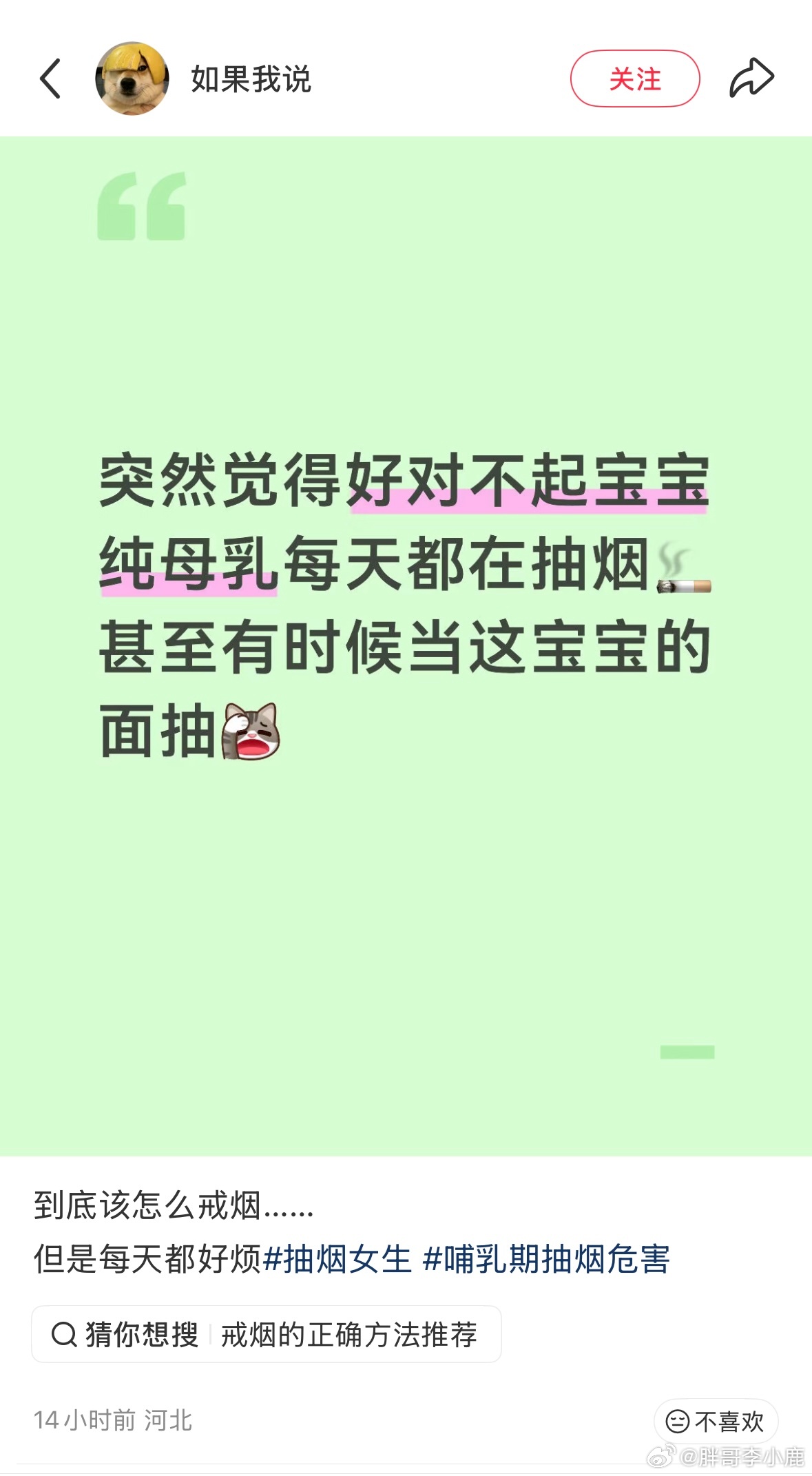 民间艺术观察