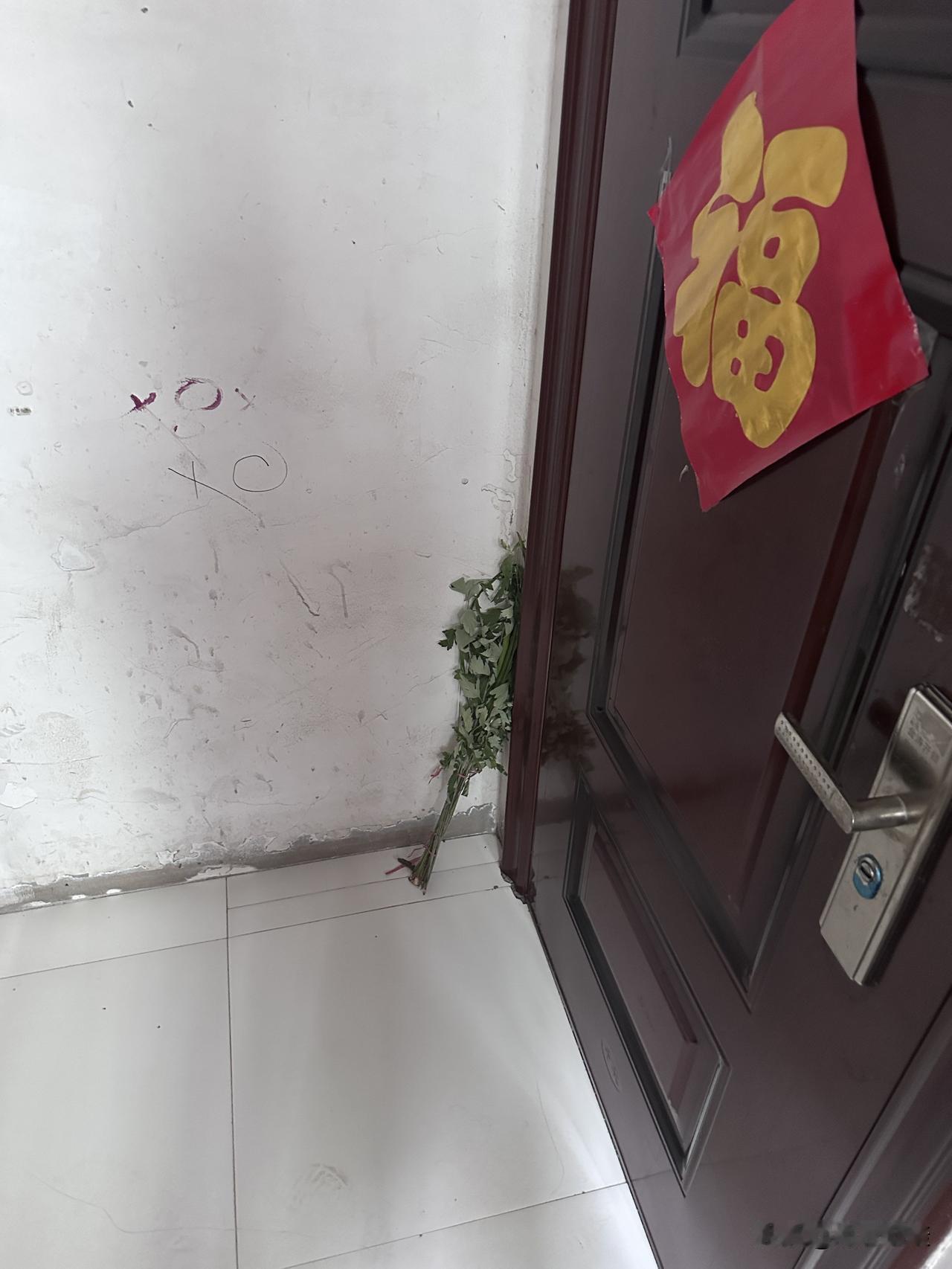 推开宜兴寻常住户的家门，端午前后总能看见这样一幅熟悉画面：深棕防盗门旁，一束翠绿
