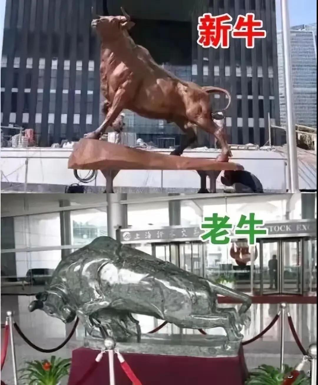 这两头牛的气质明显不同！[6][6]

你喜欢哪一只？