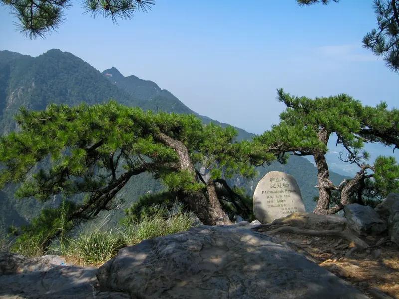 上联∶一竿独钓千江月，下联有请半世多登五岳峰