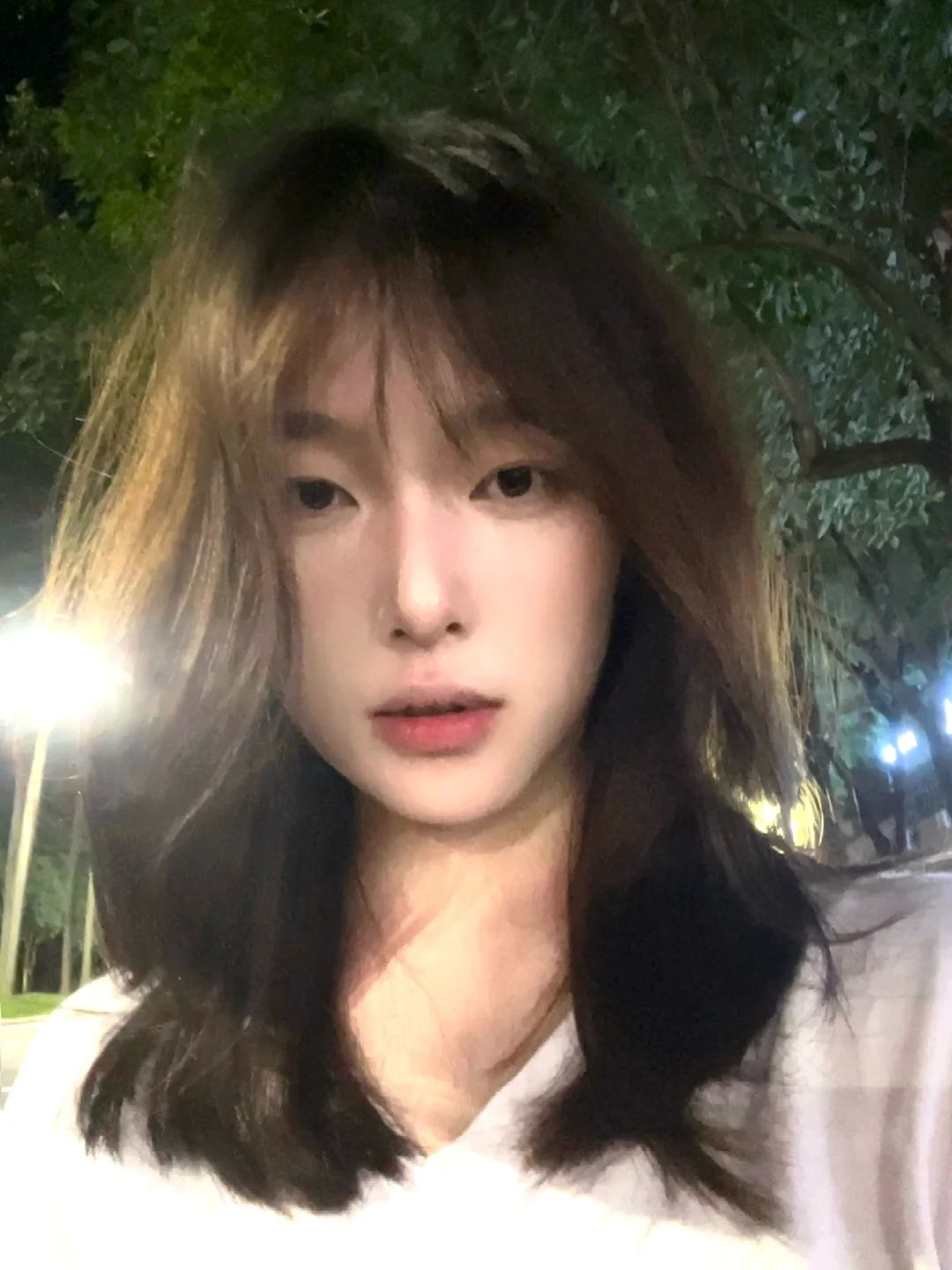 藤树下 我是我的春天