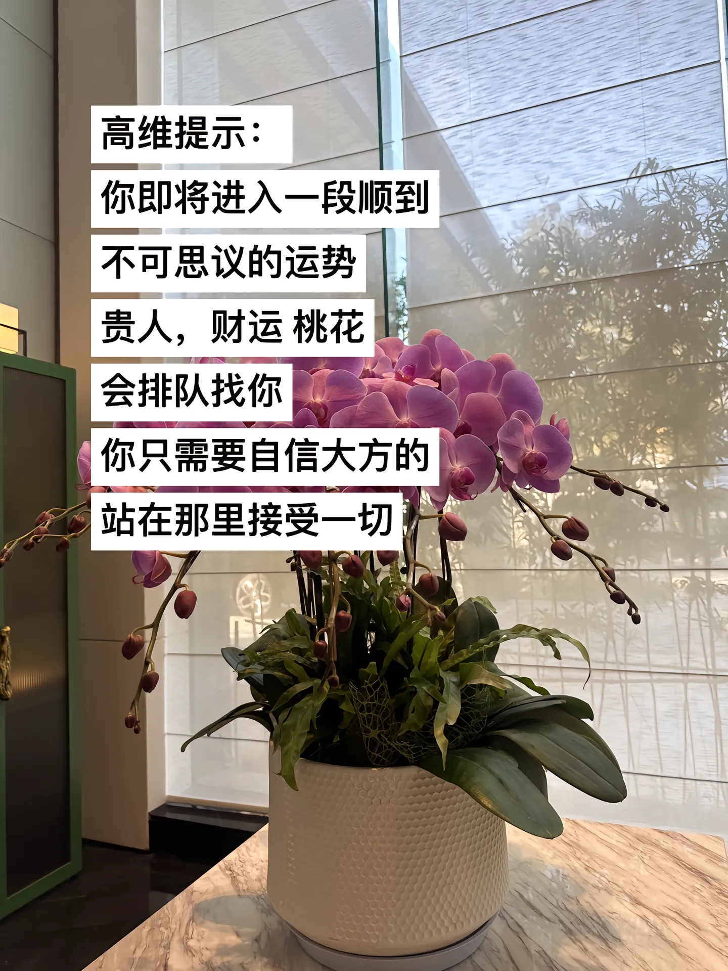 你即将进入一段顺到不可思议的运势贵人，财运桃花会排队找你 