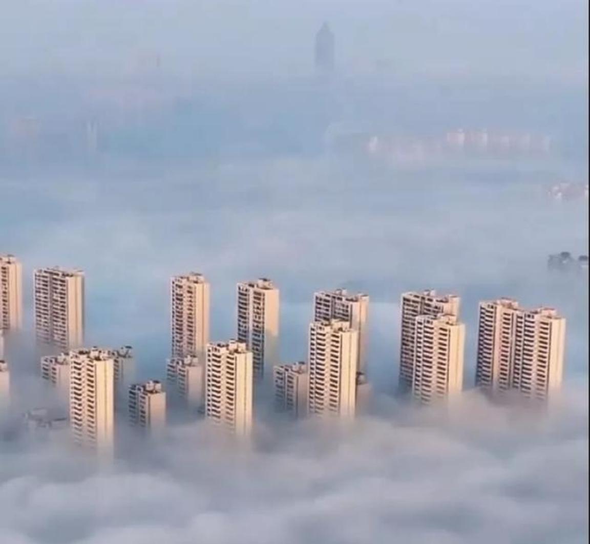 有德国网友说世界上有两个骗子国家，一个是美国，一个是中国。美国称自己是世界上最强