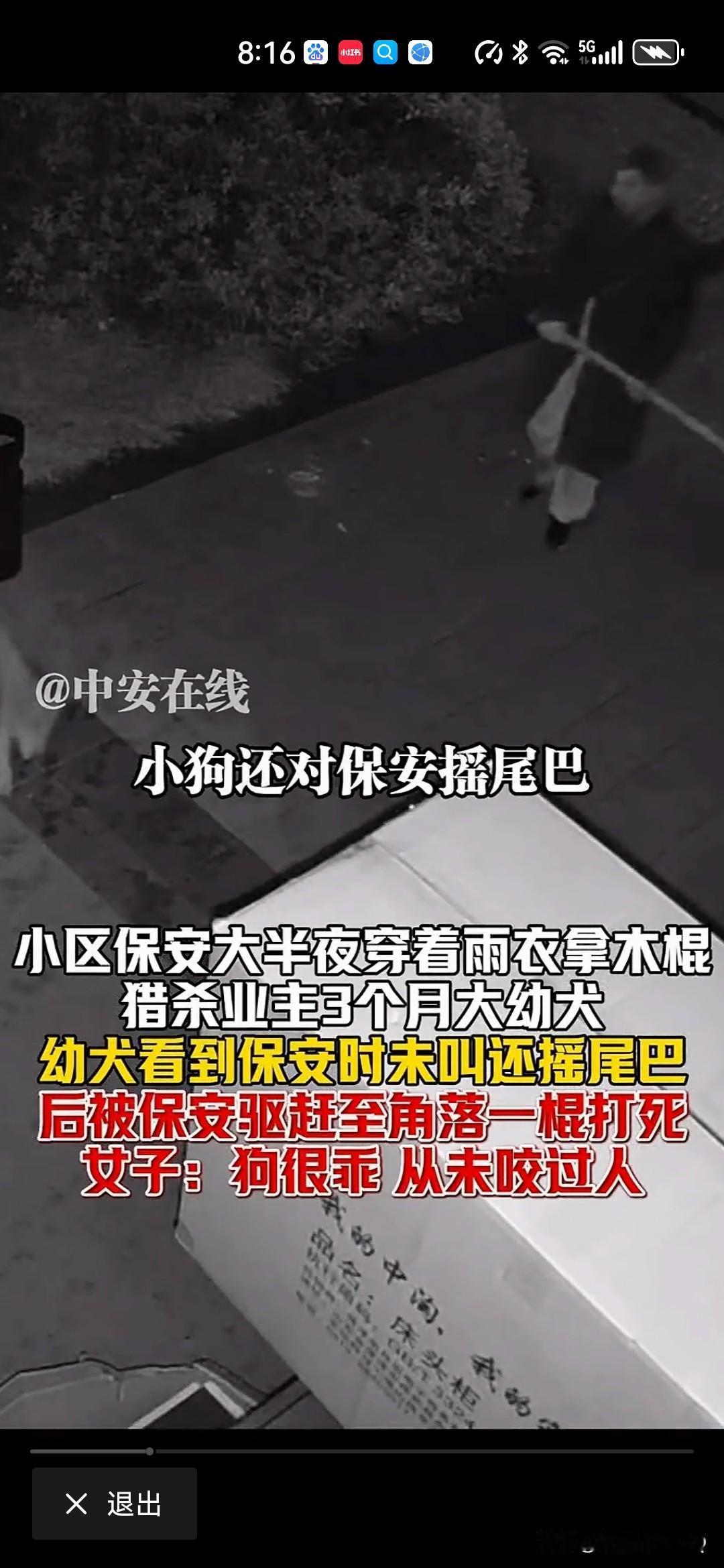 被狗追击把狗打死，要承担责任吗小区保安一棍打死业主3个月大幼犬！这说明保安还是能