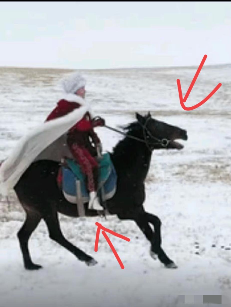 细节是骗不了人的！
不信你看贺娇龙，

她平常的骑马视频，居然马蹬踩的太往里面了