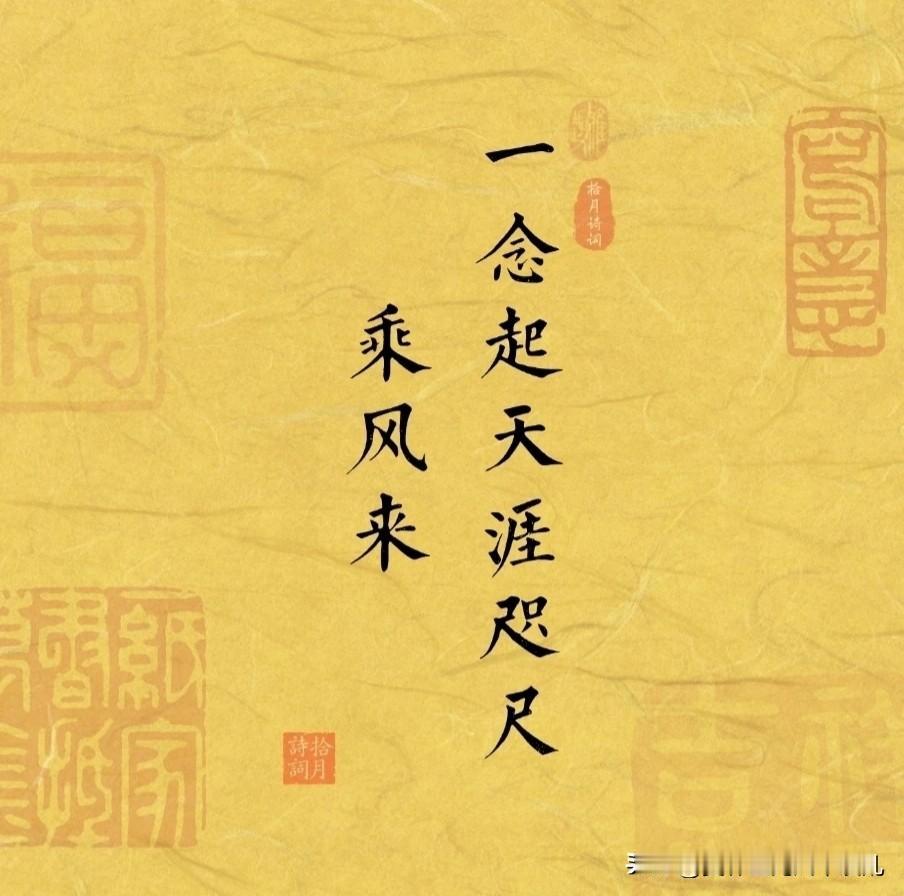 “中国搭子”兄弟情，胜宏的明天不是梦！







2025年10月31日，A