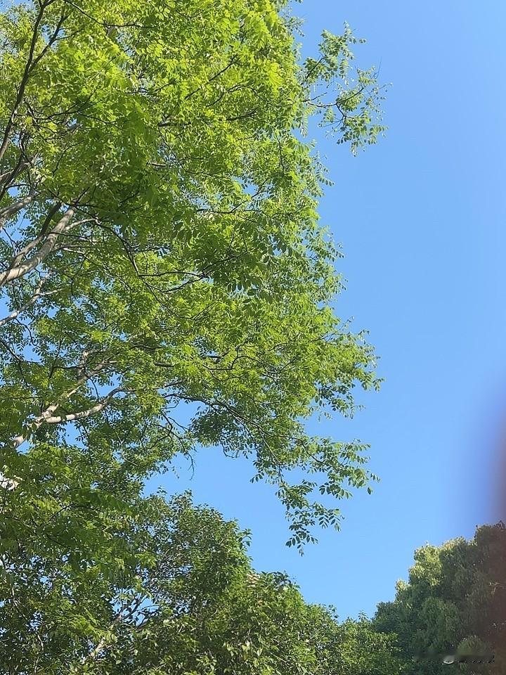 昨天和楼下邻居聊天，说到生孩子的事儿。

邻居是上海土著，比我大几岁，已退休公务