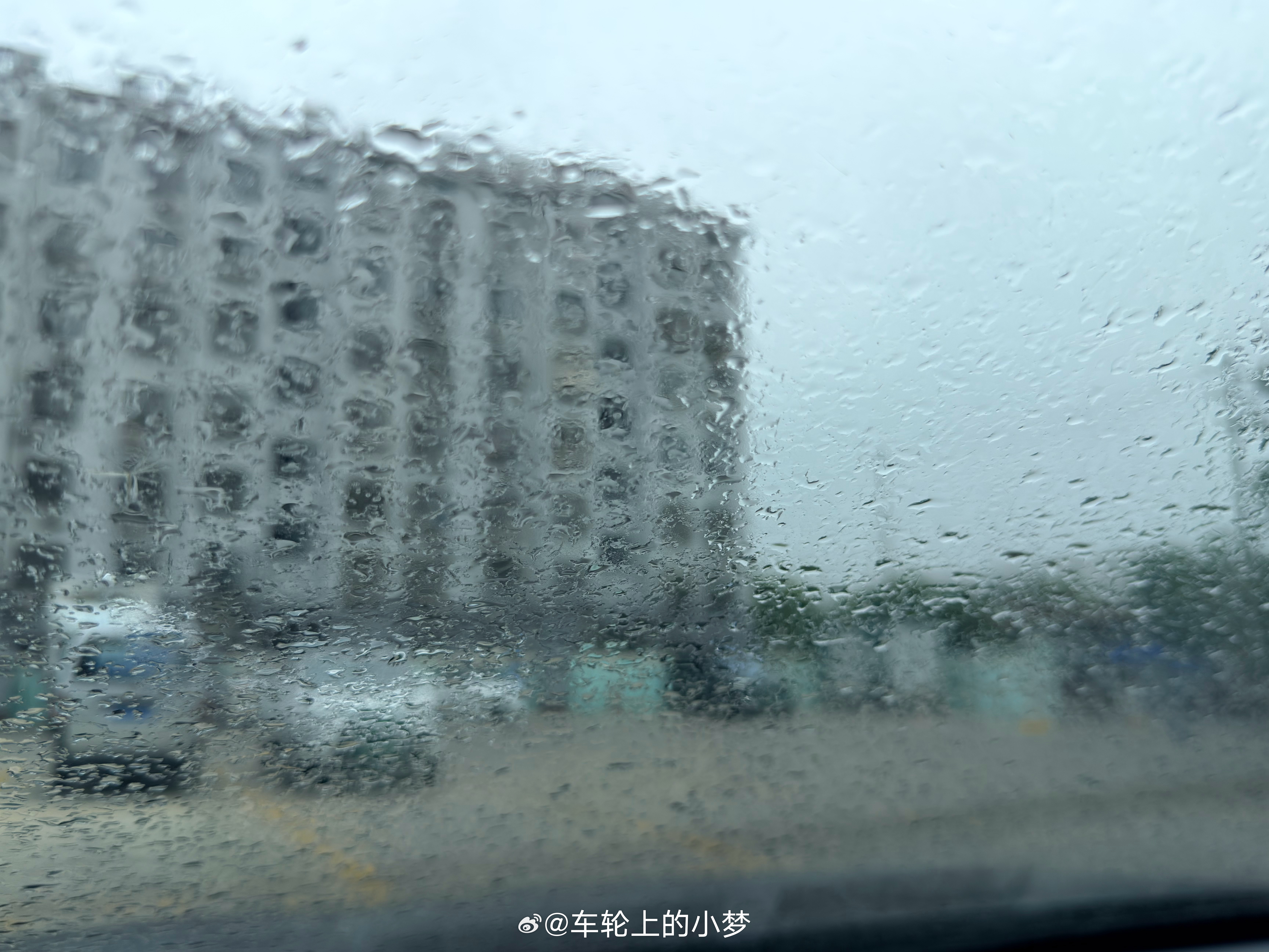 台风巴威将由山东半岛移入黄海 已经来了，2分钟前还是小小雨滴呢…… 