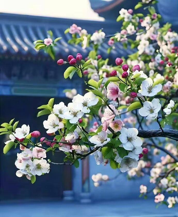 任何你的敌人不可以知道的东西，都不要告诉你的朋友。”“如果对我的秘密保持沉默，那