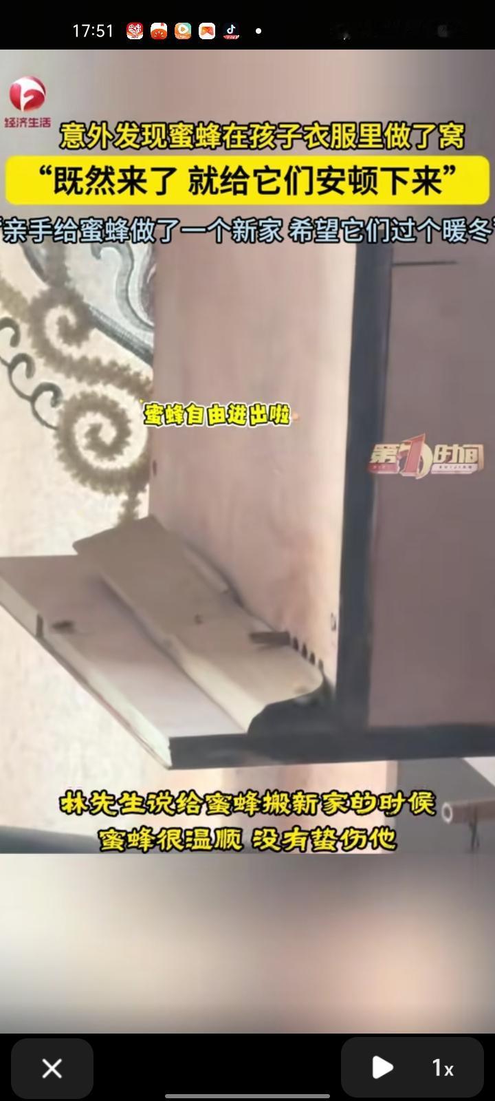 12月7日，三明市尤溪县。林先生在孩子衣服里发现蜜蜂在里面做了窝，想着“既然来了