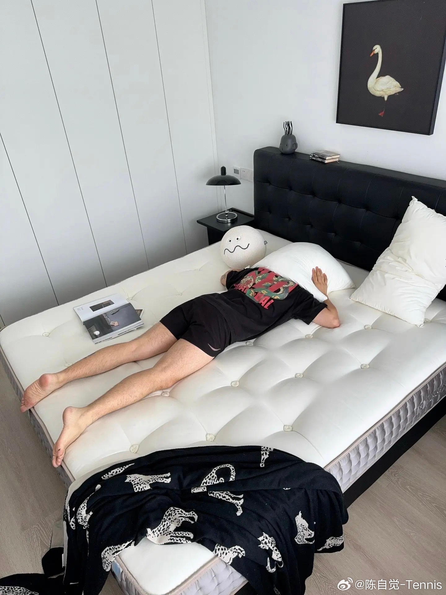 睡个回笼觉………… 