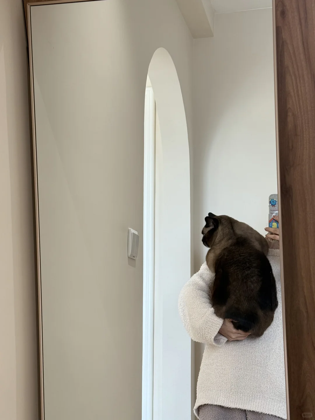 16斤的小猫和它1米6的饲主🫨