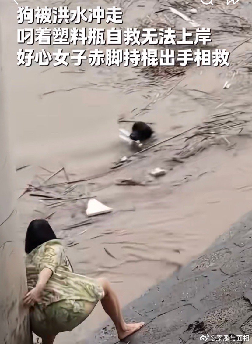 看狗嘴里，比很多人聪明，太神奇了。就是一普通黑狗。真的一直觉得这种黑狗狗聪明。 