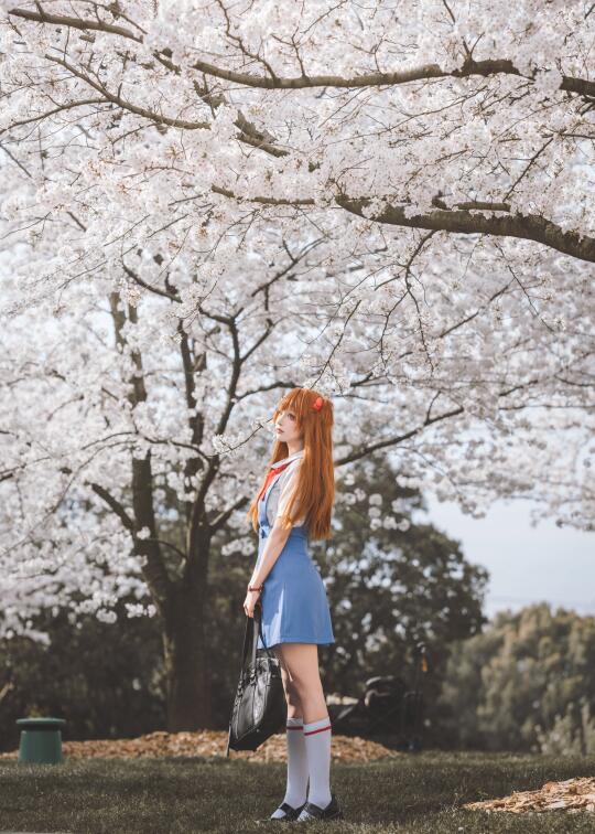 争做今年第一个发樱花的人🌸明日香 樱花 去年拍今年发没毛病 📷