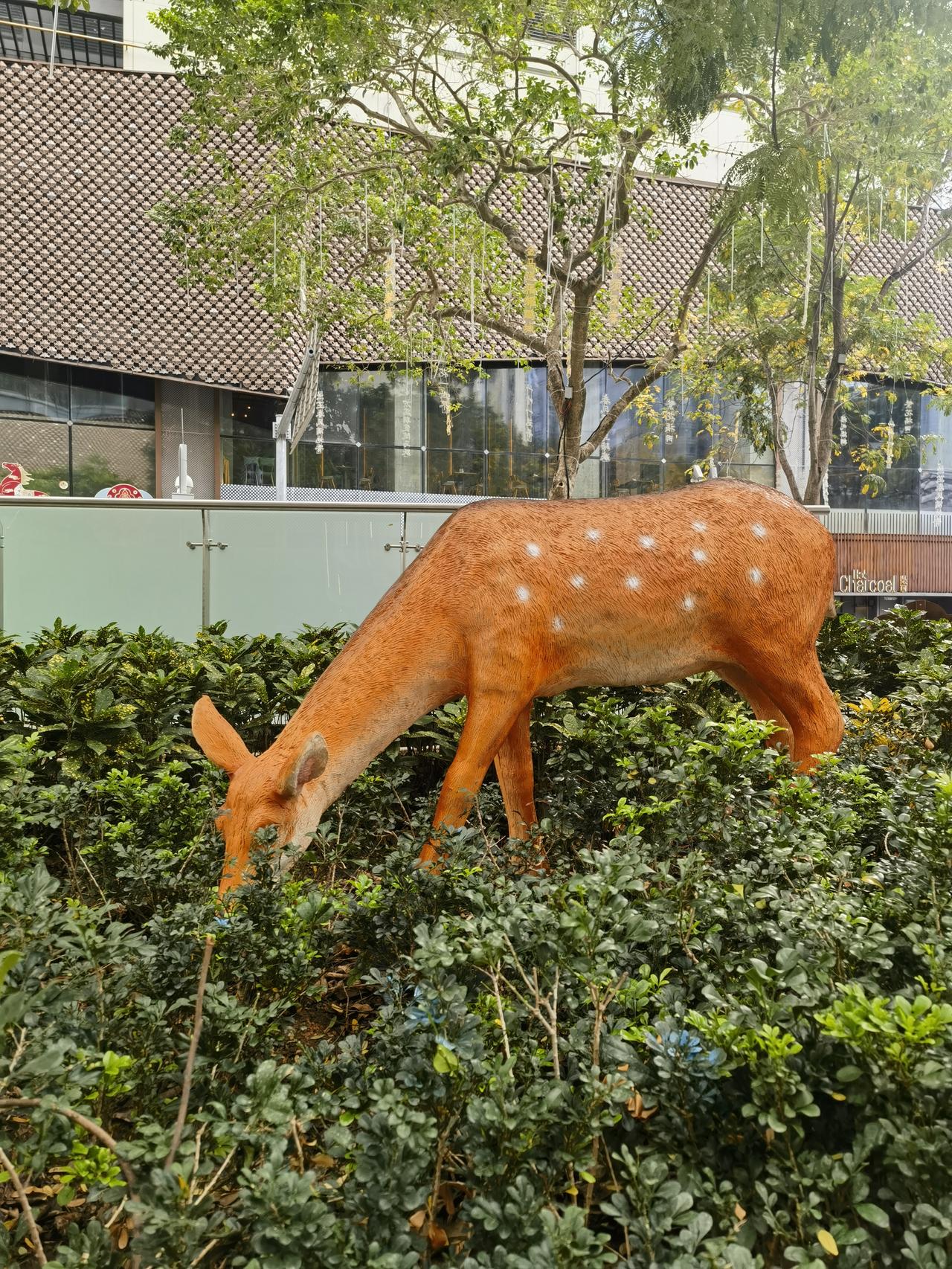 惠民项目难落地，
赚钱项目要时机。

惠民项目要渠道，
赚钱项目解民困。

中国