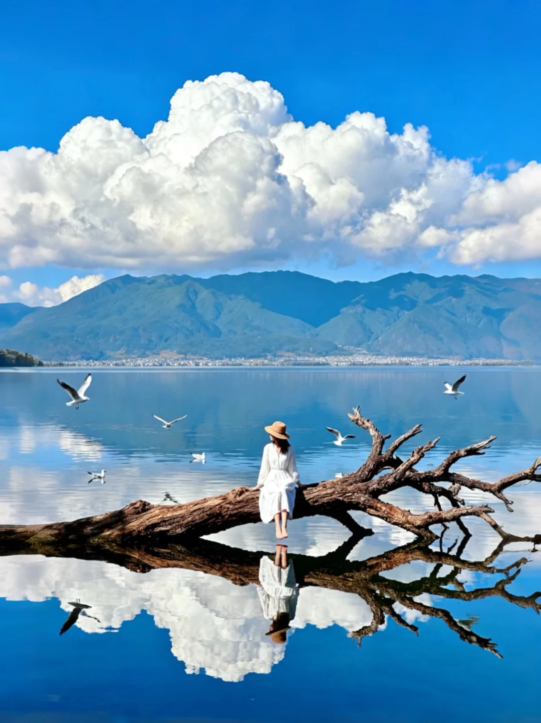 以后！我逢人便说大理的冬天有多美！附攻略！