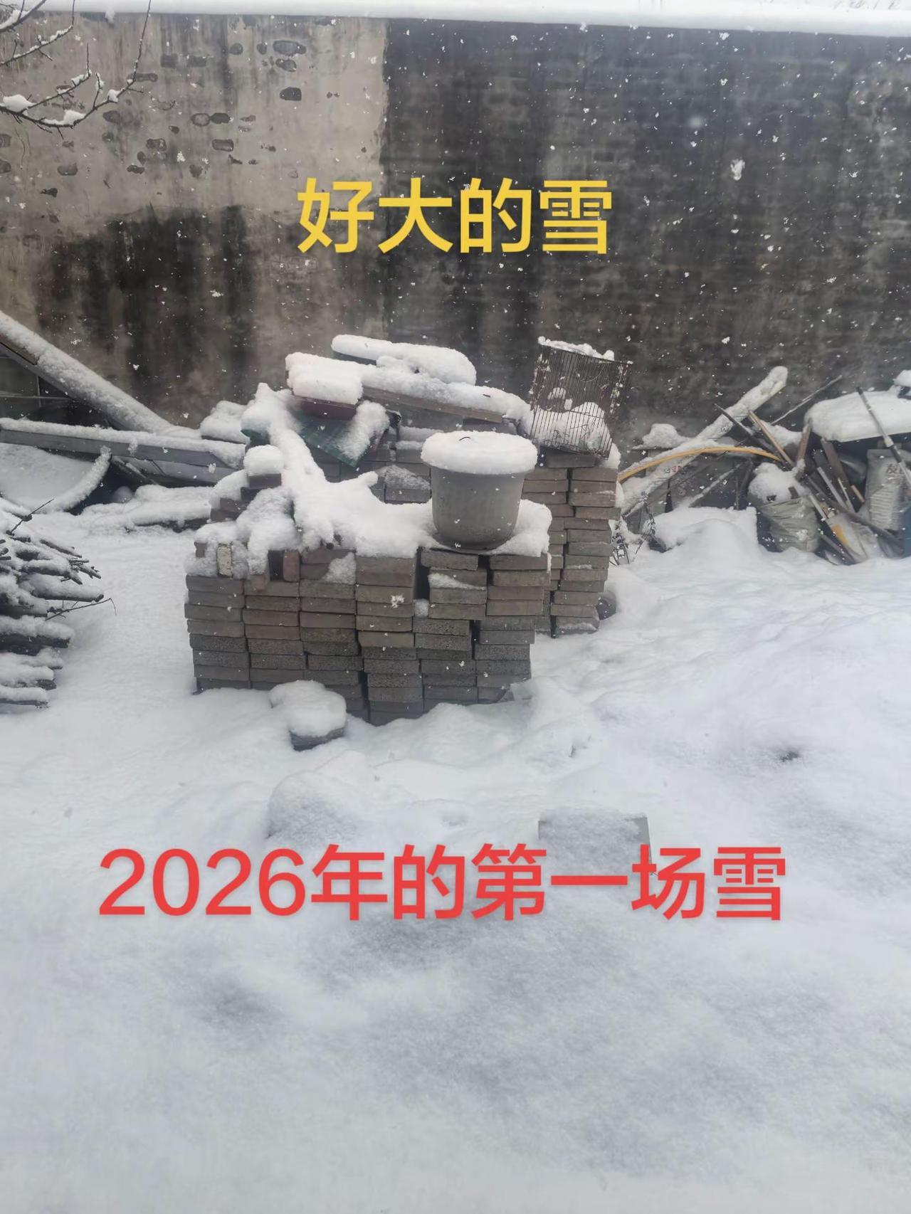 2026年的第一场雪，有十公分了