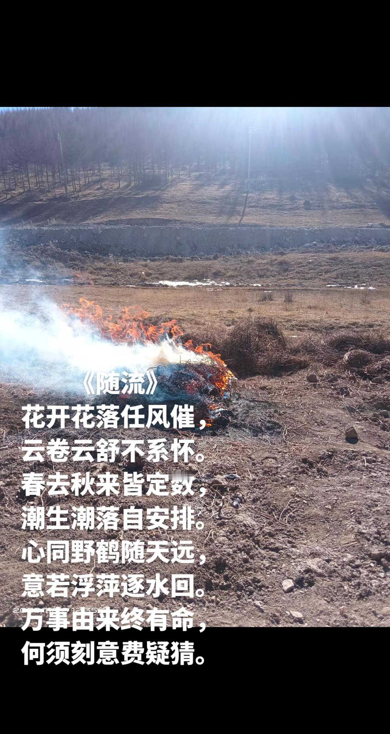 万能的 森林防火人人有责 森林消防