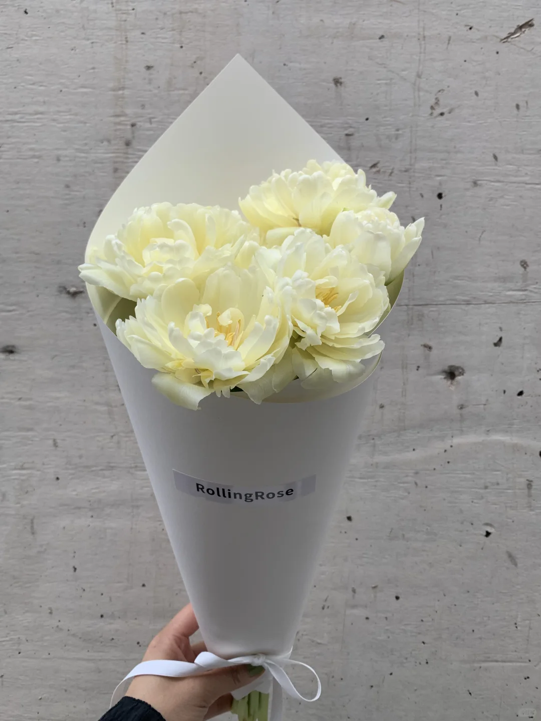 Tulip