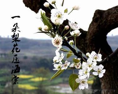 “老牛吃嫩草”的张先，80岁娶了18岁小妾，还生了4个孩子！

苏轼的朋友张先，