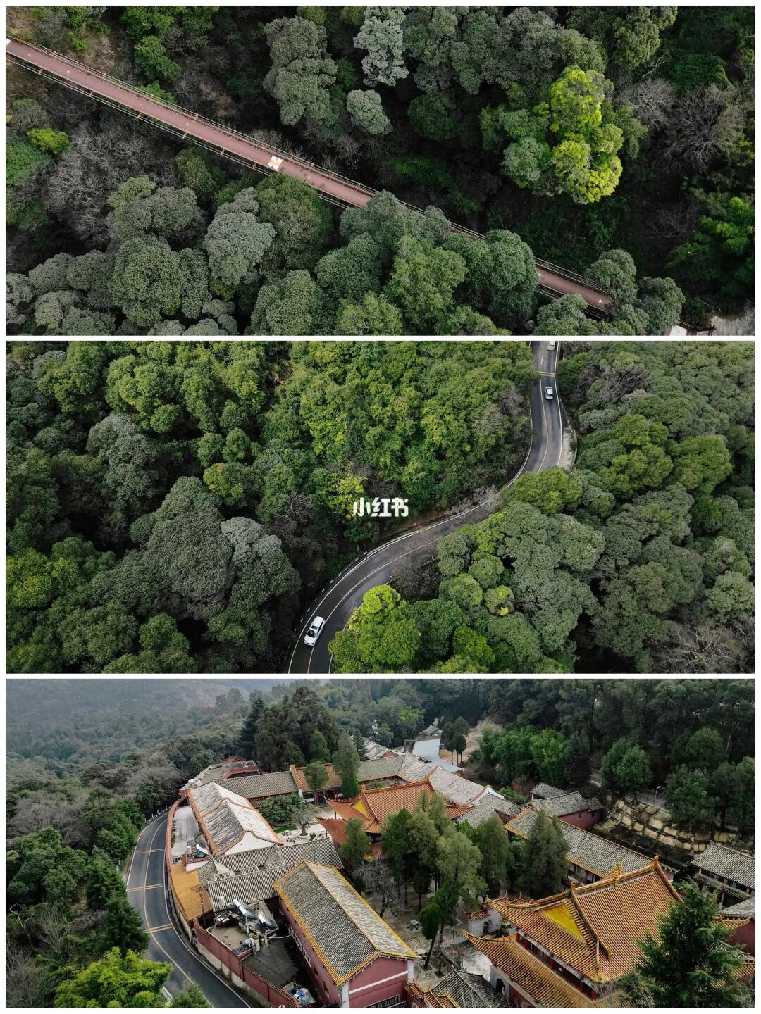 奇怪的冷知识又增加啦！！