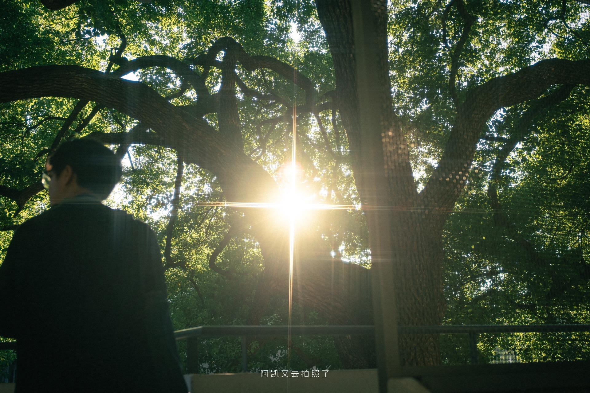 摆烂太久会被收走天赋的喔。