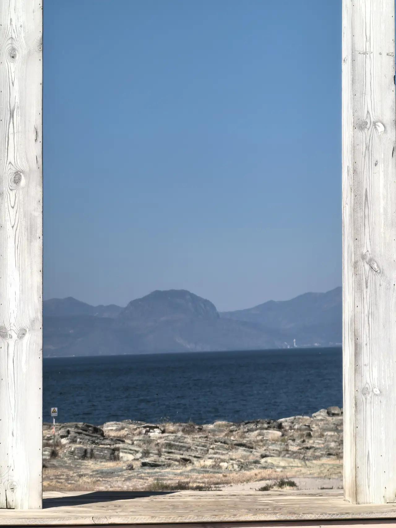 美国icon的伤亡应该比他们公开的要大很多，说实话就是多上十倍，我觉得也不足为奇