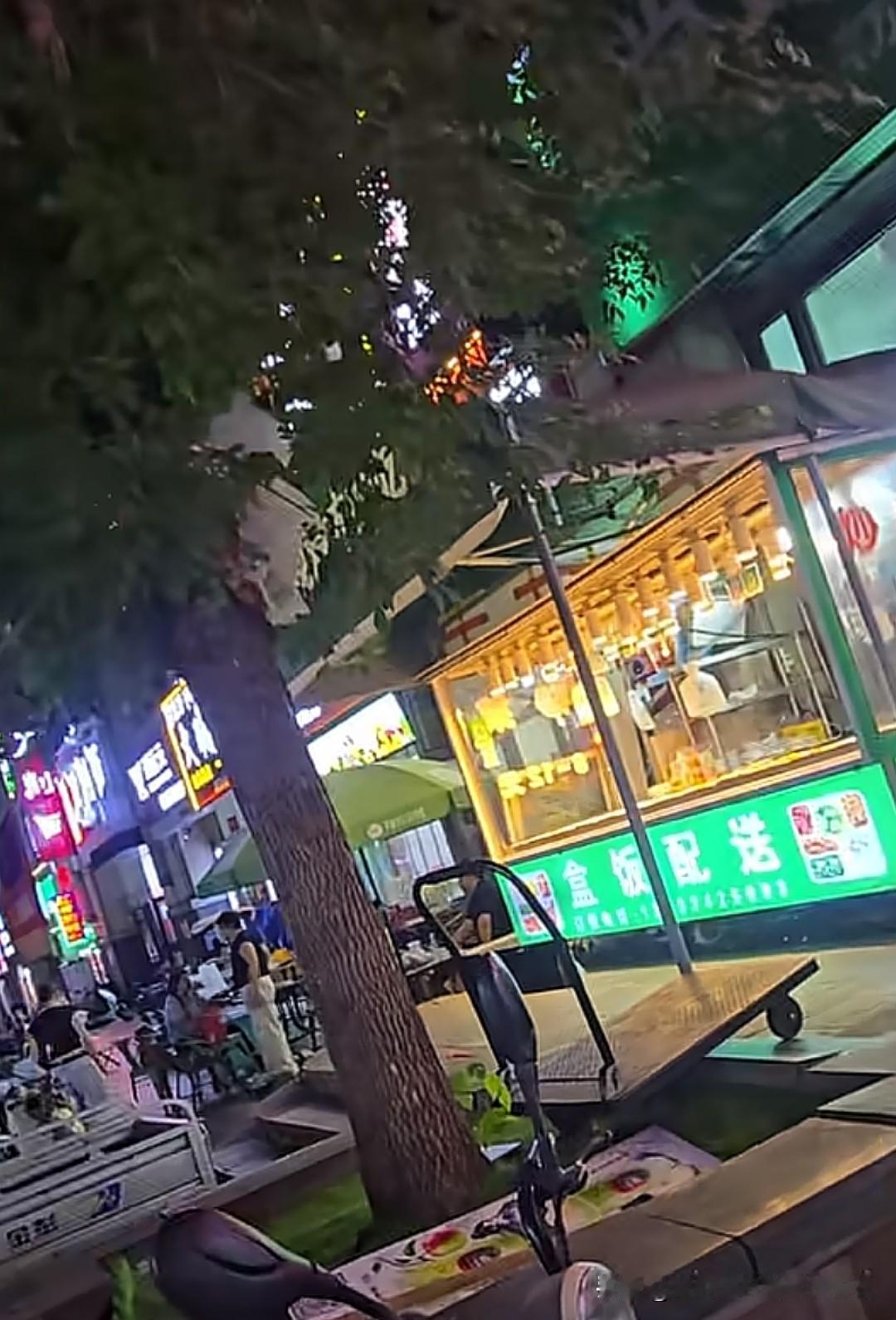 狗不仅上桌，还用上了店里的餐具，这家餐厅的老板天塌了！河北唐山一网友在万达广场的
