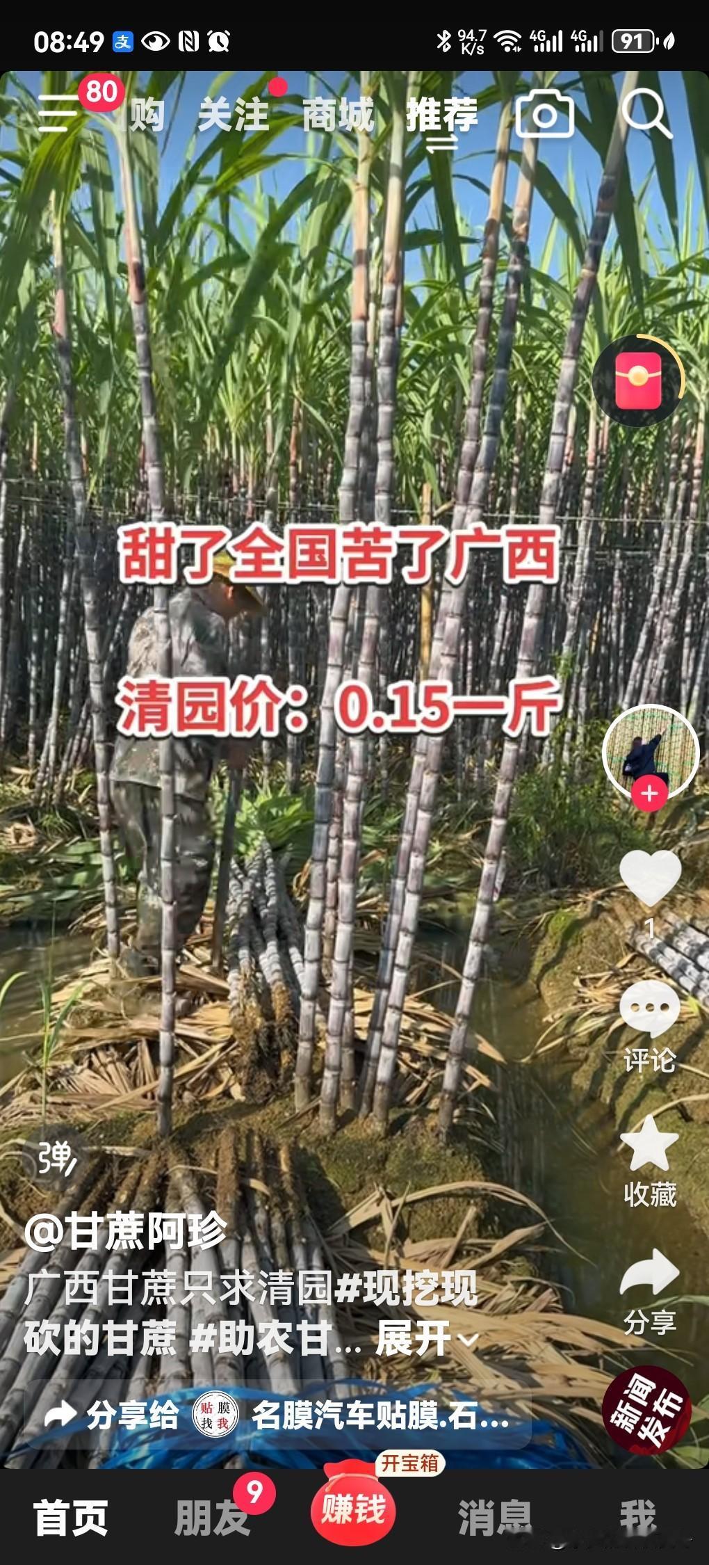 年后的果蔗和沙糖桔一样滞销了。这是一个沉重的话题，农民付出了超乎想象的辛苦劳作，