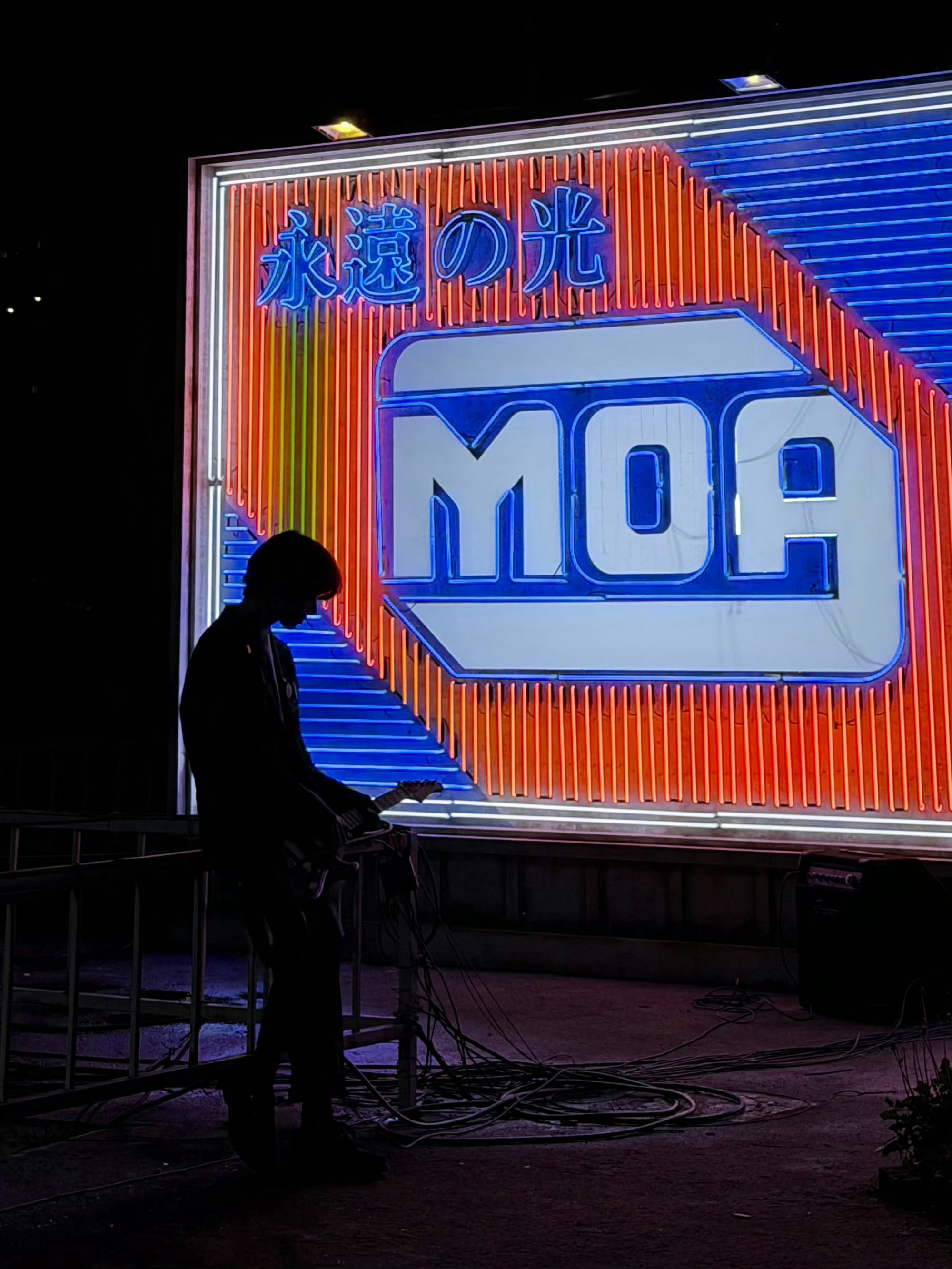 🎸 