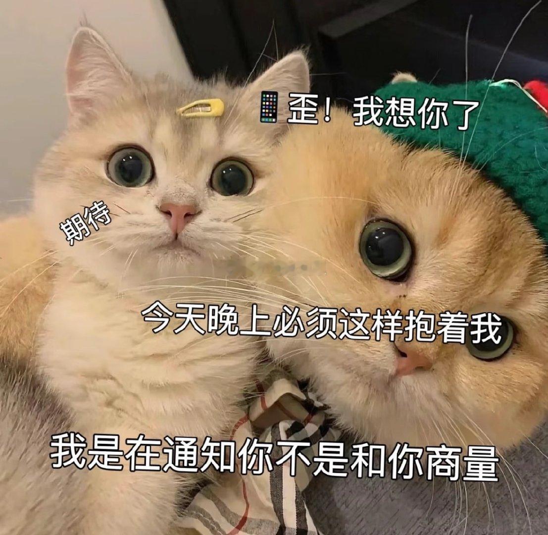 好想酱酱酿酿，好想酱酱酿酿，好想酱酱酿酿姨妈一过就按耐不住呜呜，超想把🐺扑倒在