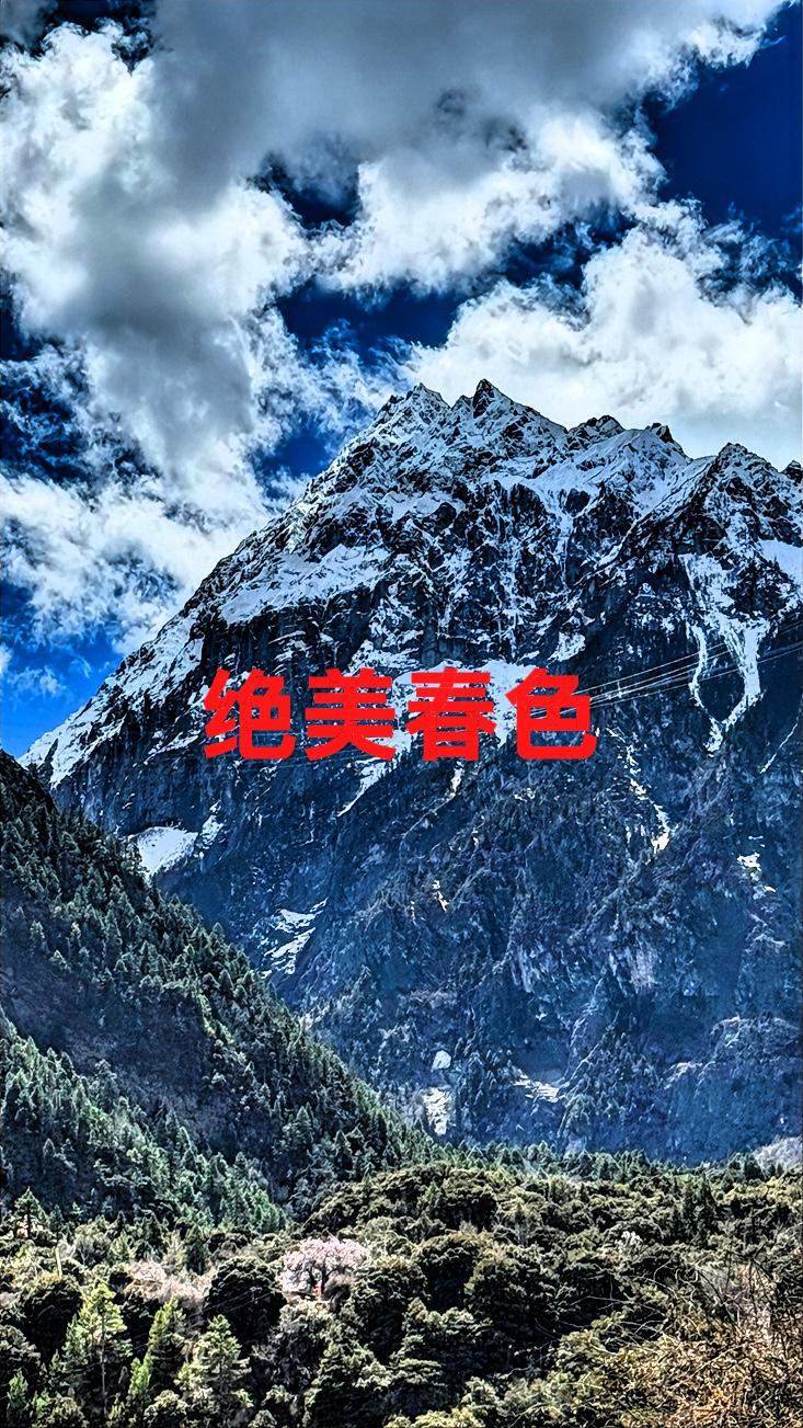 最近各类活动真是趣味十足！就拿晒图笔记大赛来说，它无疑为我们提供了一个展示生活的