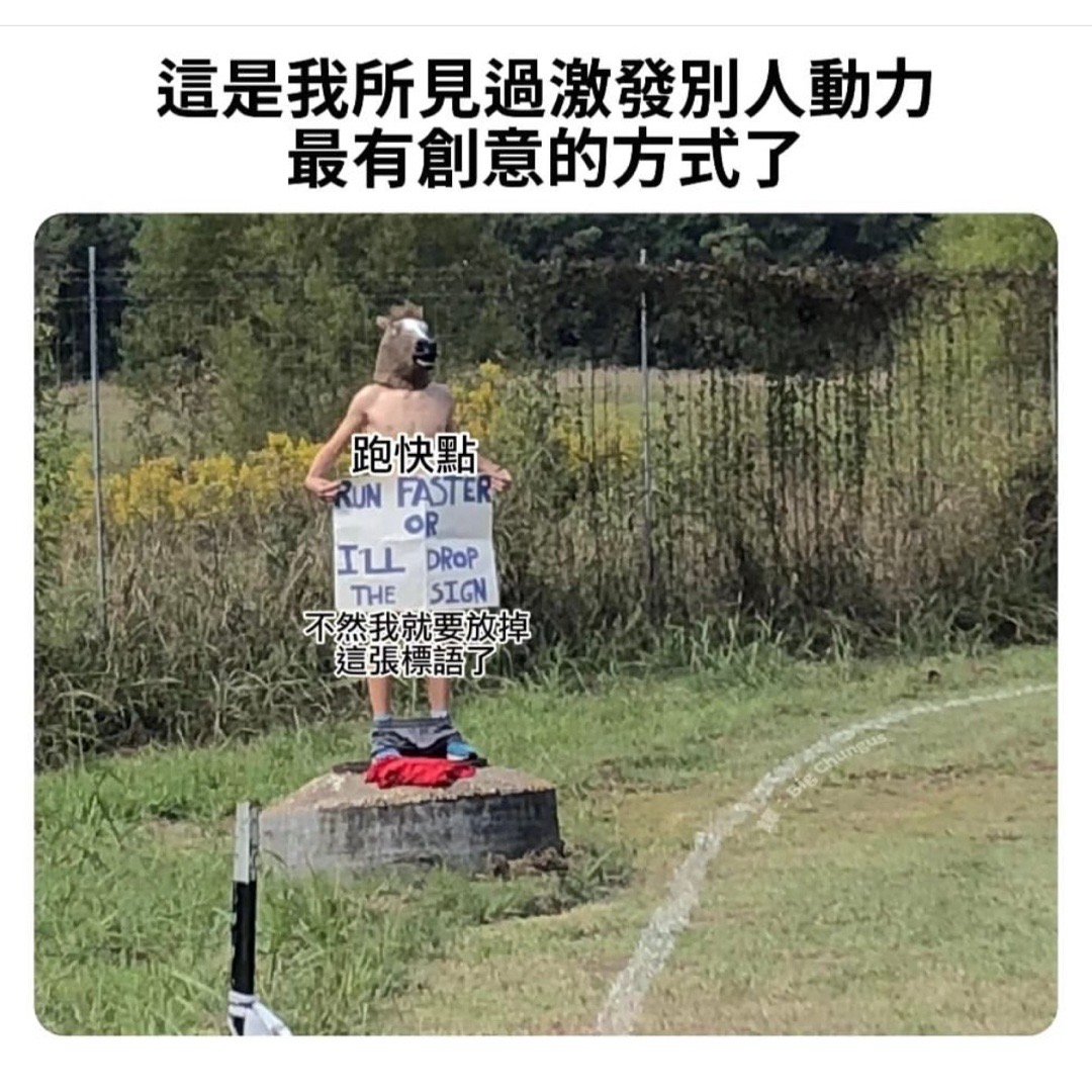 停下来欣赏#meme# ​​​