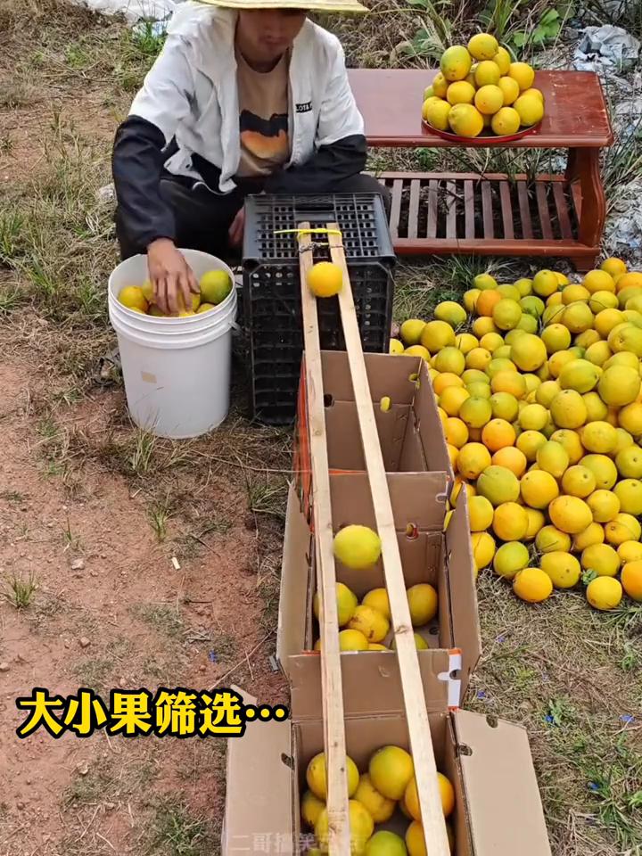 搞笑盘点。
·借力下山，电驴拉磨。
·防晒神器，巧力运砖。
·与地球抬杠，水渠运