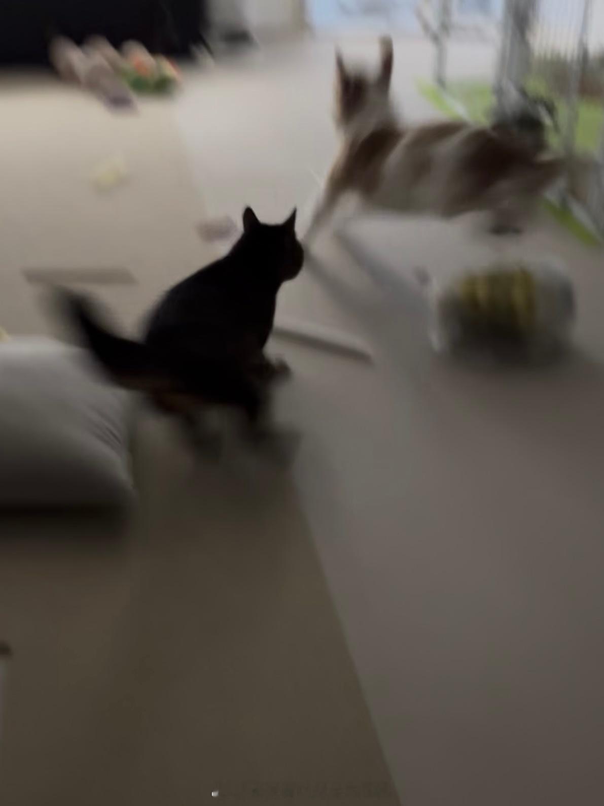 动感家庭 ​​​