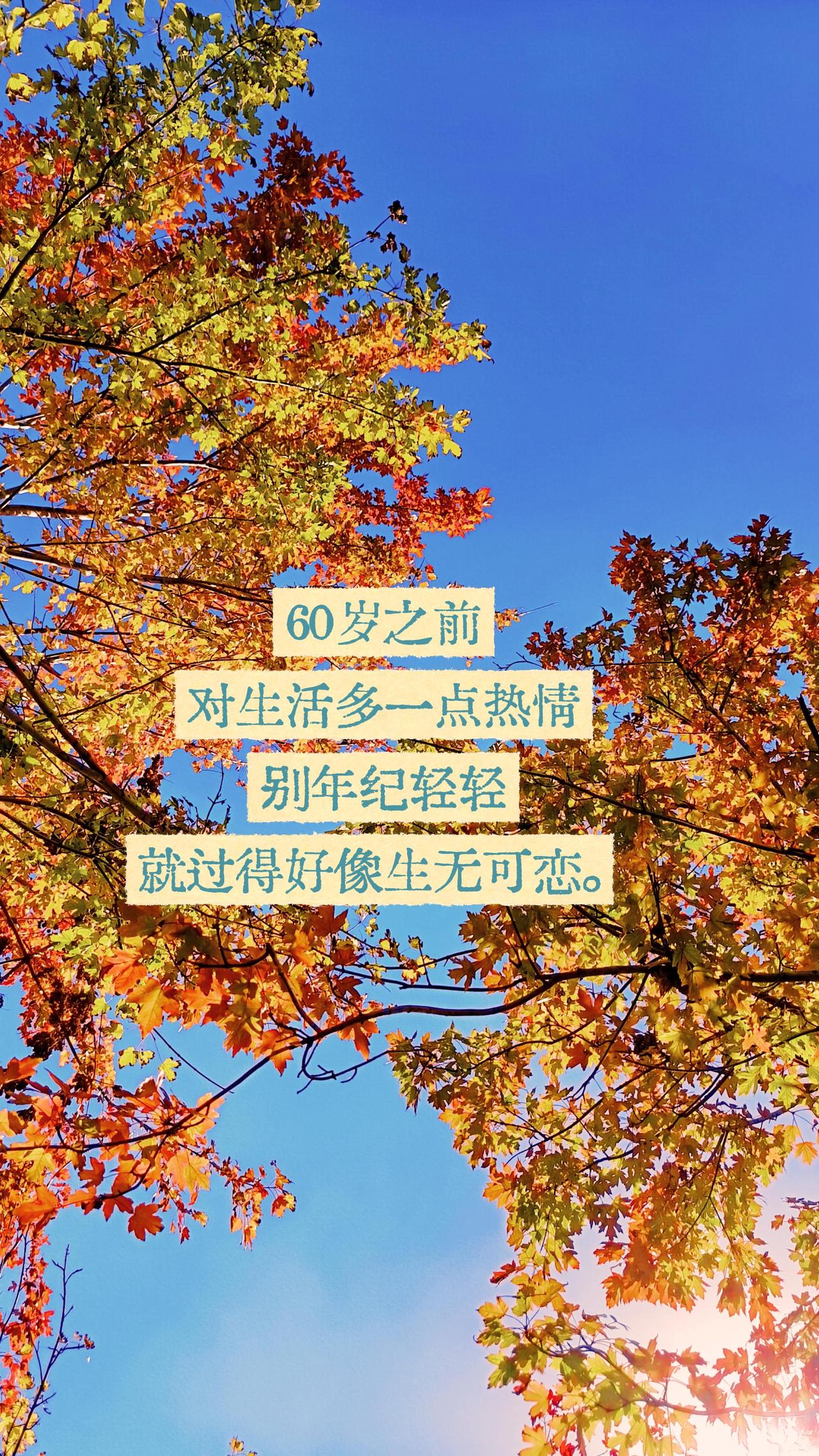 阶段性成长 每一个阶段都有它的意义 成长需要时间 天空作纸树枝为画 人在不同阶段