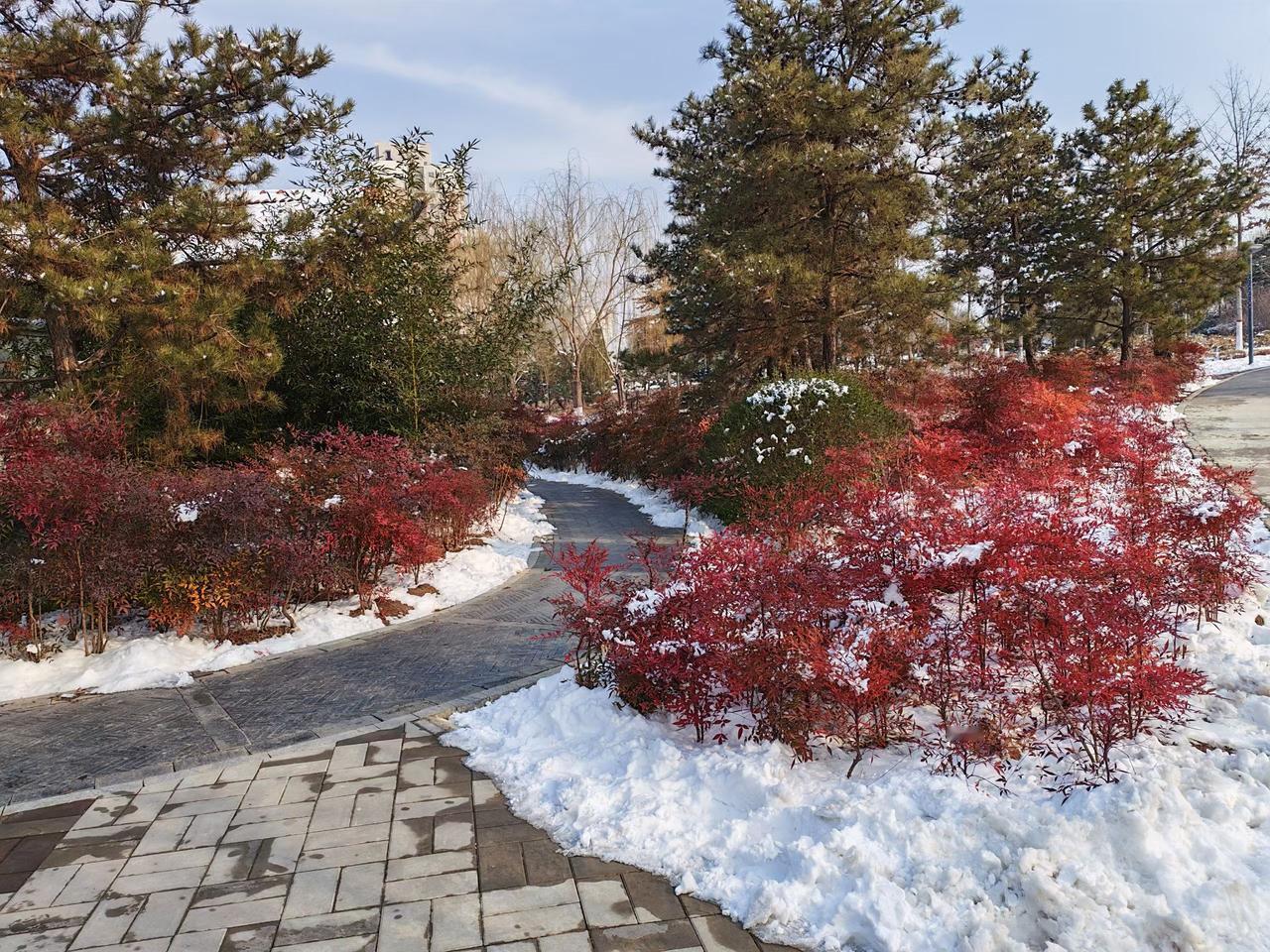 选择你近期主要的收益来源：
A：美股投资
B：A 股投资
C：加密货币
D：大宗