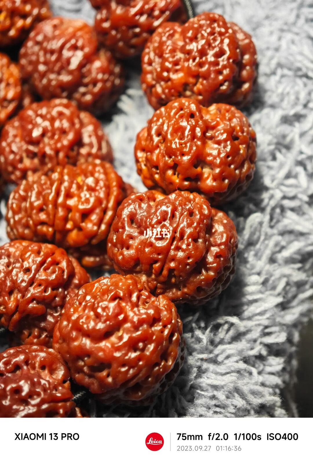 NO.270 大金刚快一年了