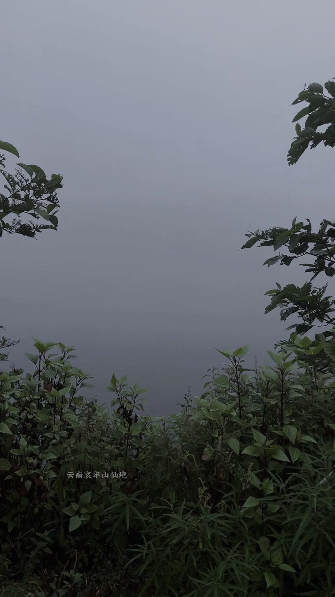 在城市待久了，总想来点不一样的。这里的风景真的很治愈，每一处都像是大自然精心布置