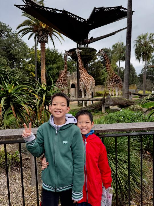 🇦🇺墨尔本免费遛娃推荐｜墨尔本动物园攻略