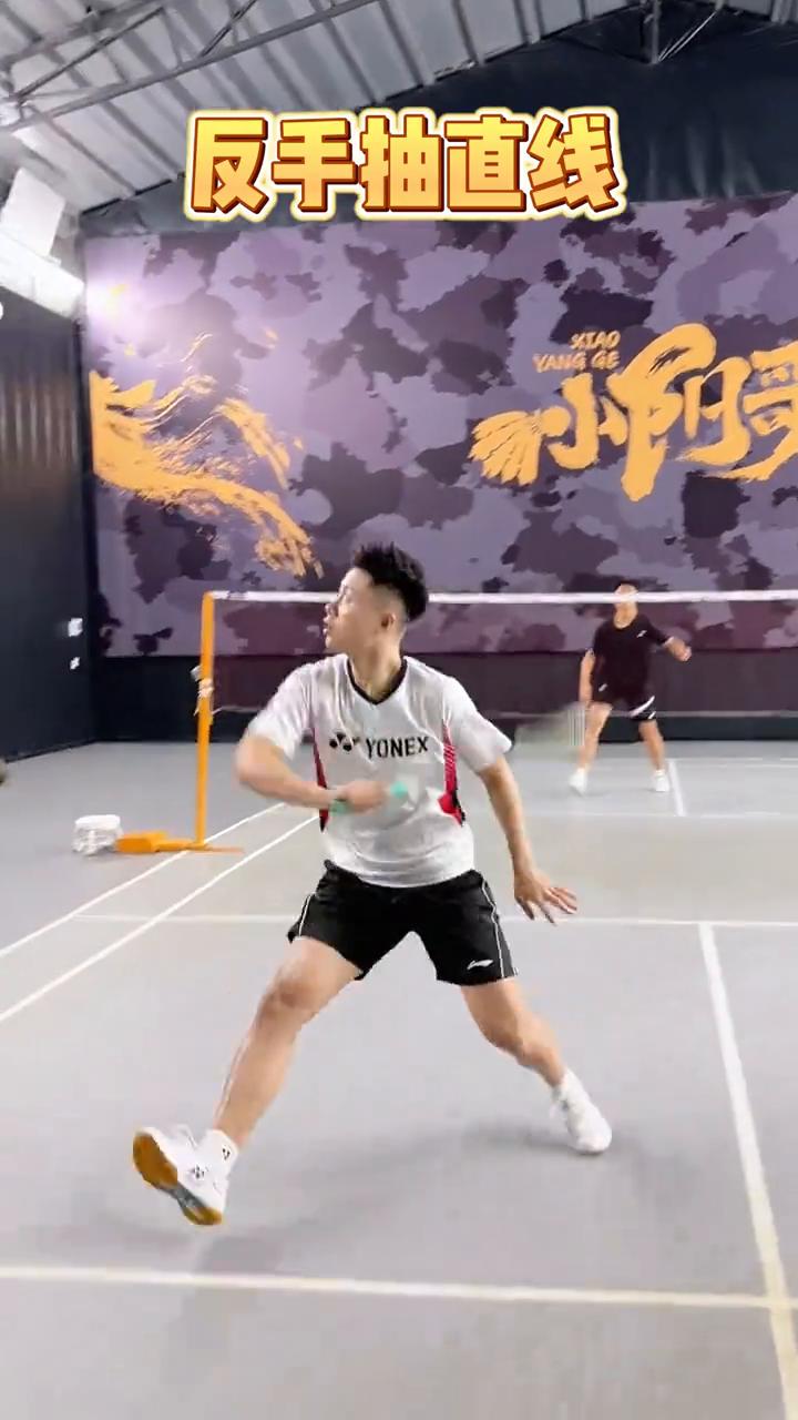 模仿球星陶菲克夺冠的三种球路。
陶菲克最喜欢用的三个夺冠球路：
·发内角，对方推