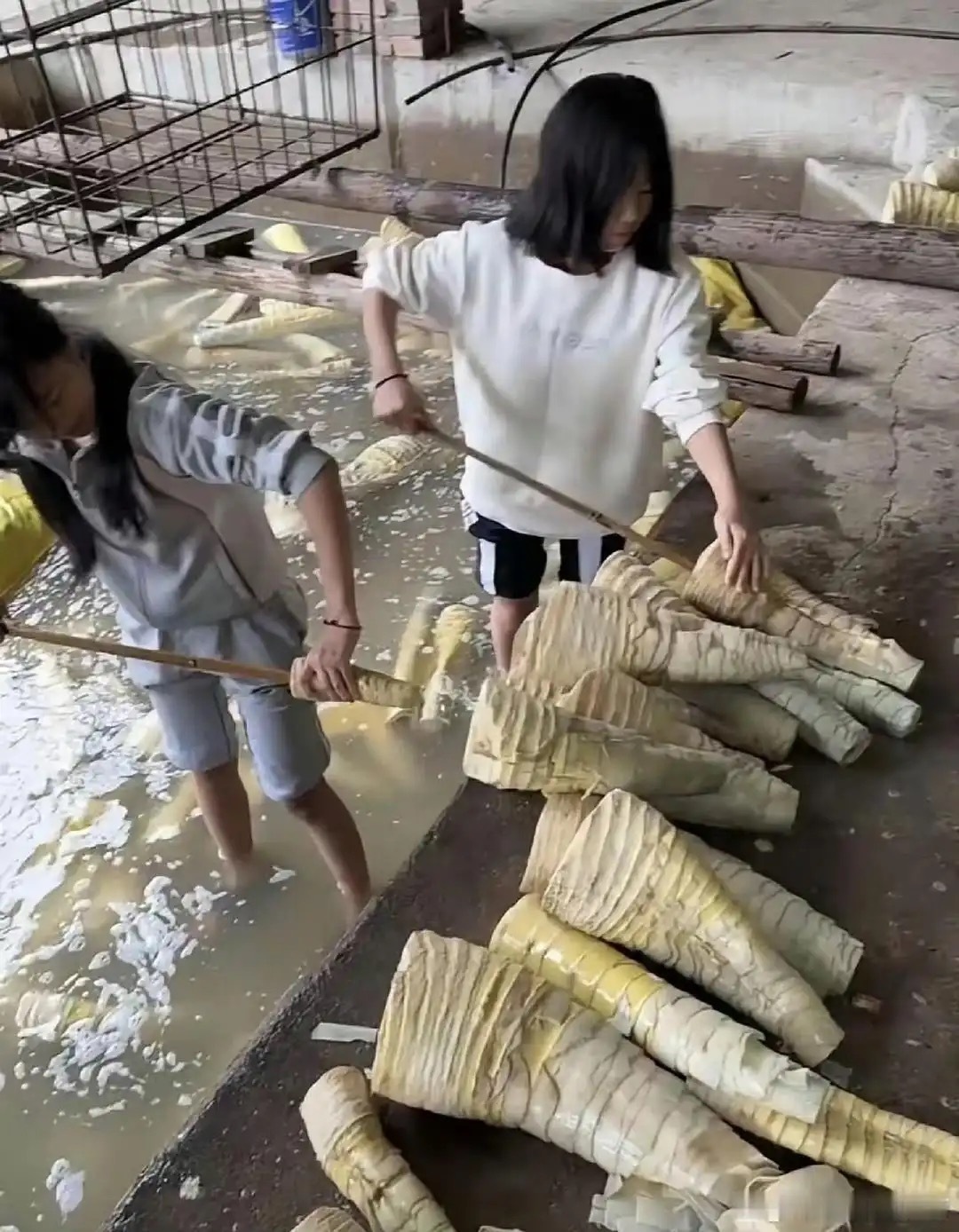 再也不吃螺蛳粉里面的酸笋了 ​​​