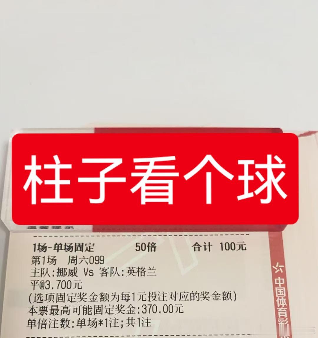今天世界杯 1/4决赛了，总共下来也没有几场了一个是挪威vs英格兰 然后就是阿根