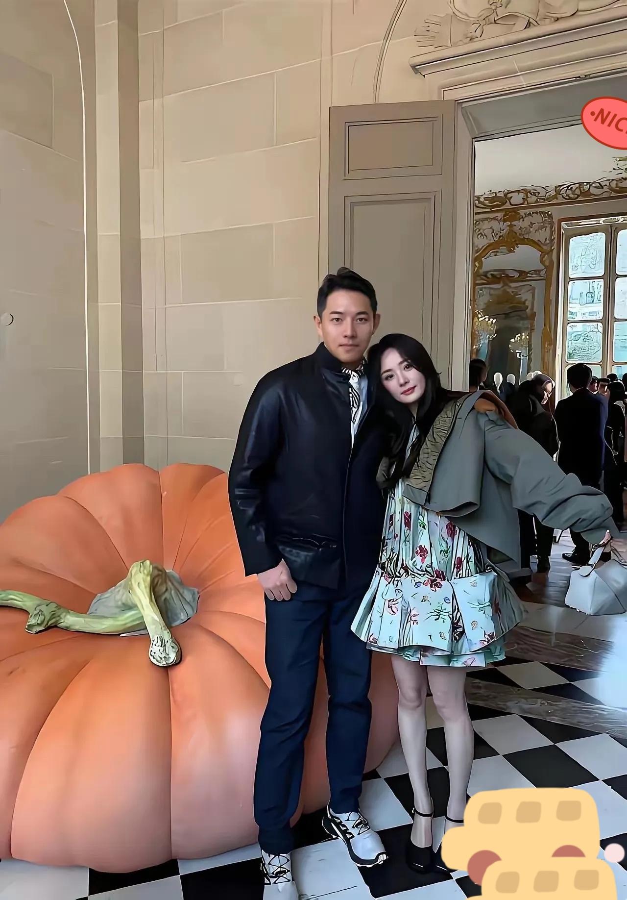 刘恺威要是刷到这张合照，估计心里五味杂陈。杨幂在巴黎和一位男士同框合影，对方外形