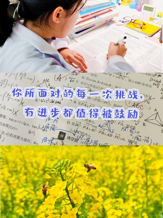 你所面对的每一次挑战，有进步都值得被鼓励