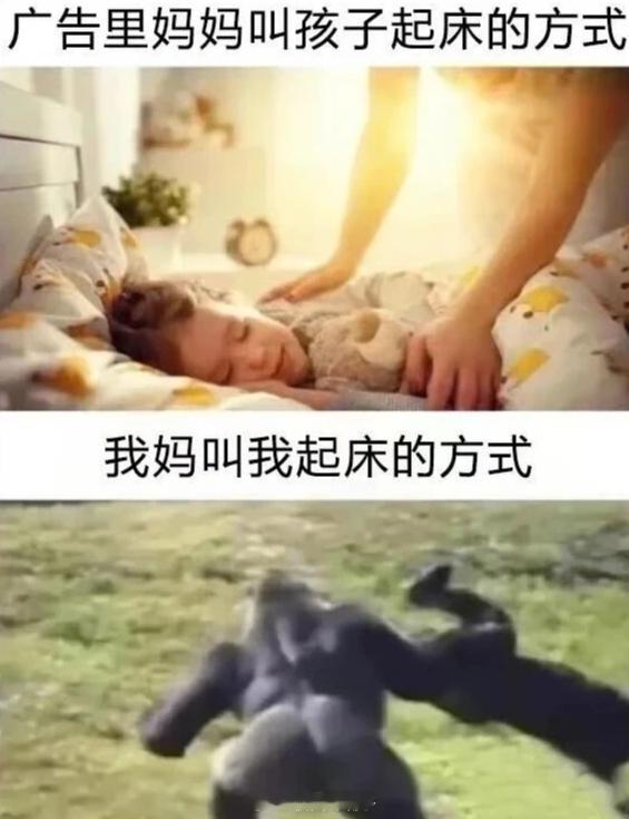 早八即将回归我的生活，已经开始焦虑了早八人开学 ​​​